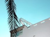 A modern white building with a stylized text sign on its rooftop against a clear light blue sky. The silhouette of a tall palm frond hangs prominently in the foreground, adding a tropical feel to the scene.