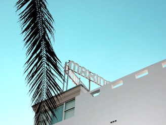 A modern white building with a stylized text sign on its rooftop against a clear light blue sky. The silhouette of a tall palm frond hangs prominently in the foreground, adding a tropical feel to the scene.