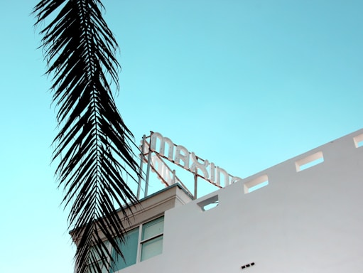 A modern white building with a stylized text sign on its rooftop against a clear light blue sky. The silhouette of a tall palm frond hangs prominently in the foreground, adding a tropical feel to the scene.