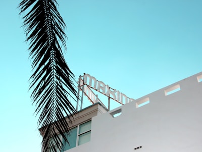 A modern white building with a stylized text sign on its rooftop against a clear light blue sky. The silhouette of a tall palm frond hangs prominently in the foreground, adding a tropical feel to the scene.