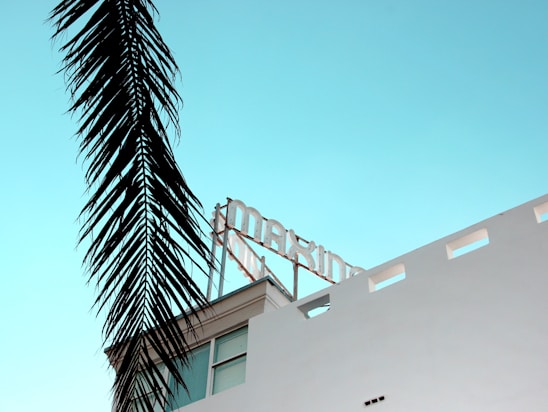 A modern white building with a stylized text sign on its rooftop against a clear light blue sky. The silhouette of a tall palm frond hangs prominently in the foreground, adding a tropical feel to the scene.