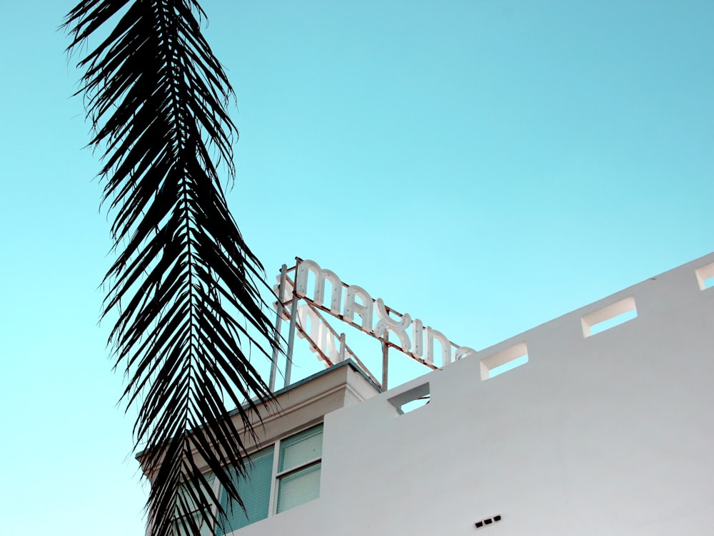 photo of a white concrete building