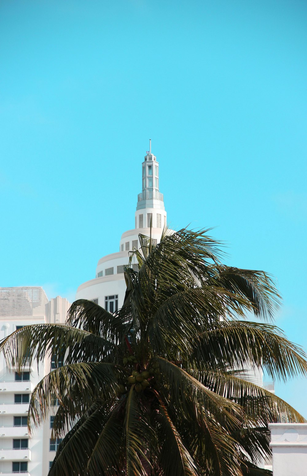 白い建物の近くのココナッツの木