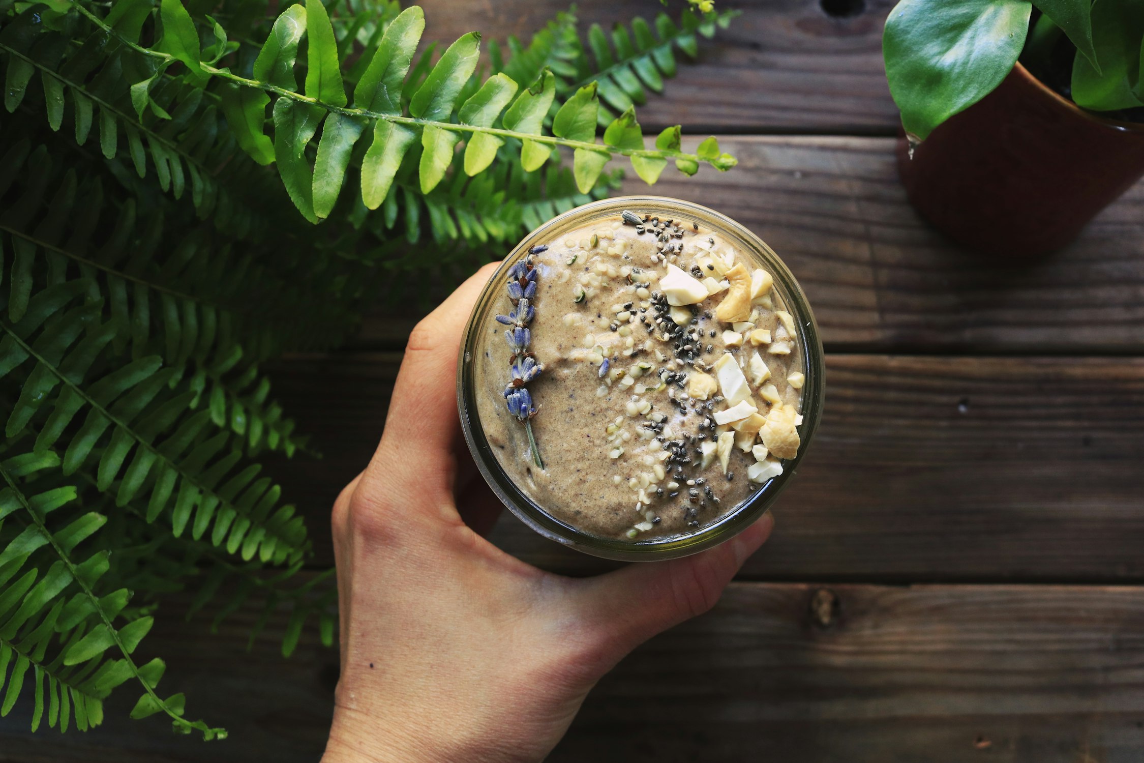 daily protein shake photo by Chelsea Shapouri