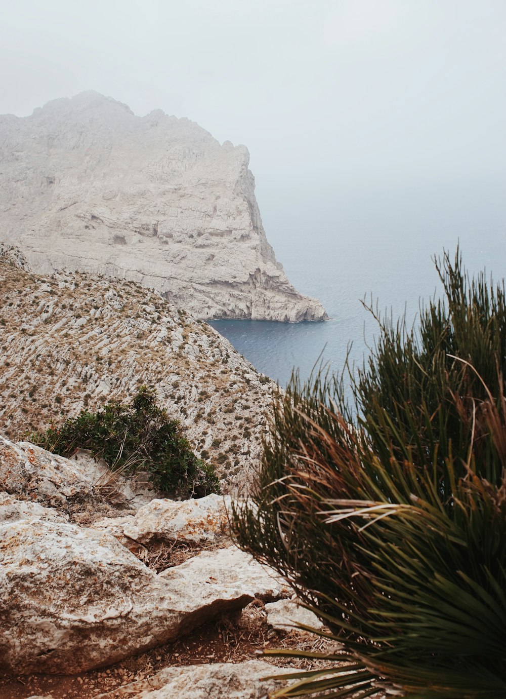 high angle photography of cliff near beach