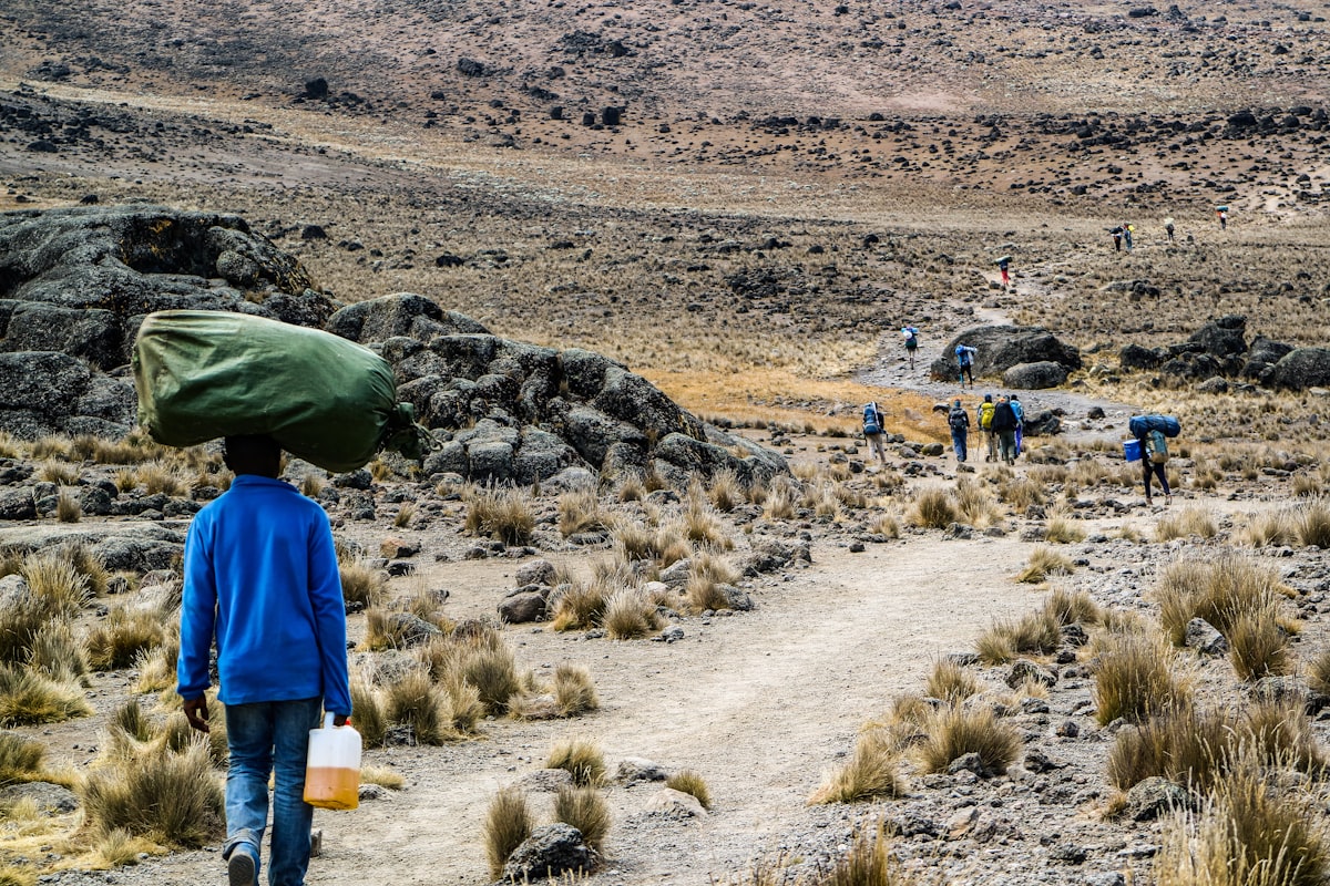 Mount Kilimanjaro Trek & Safari