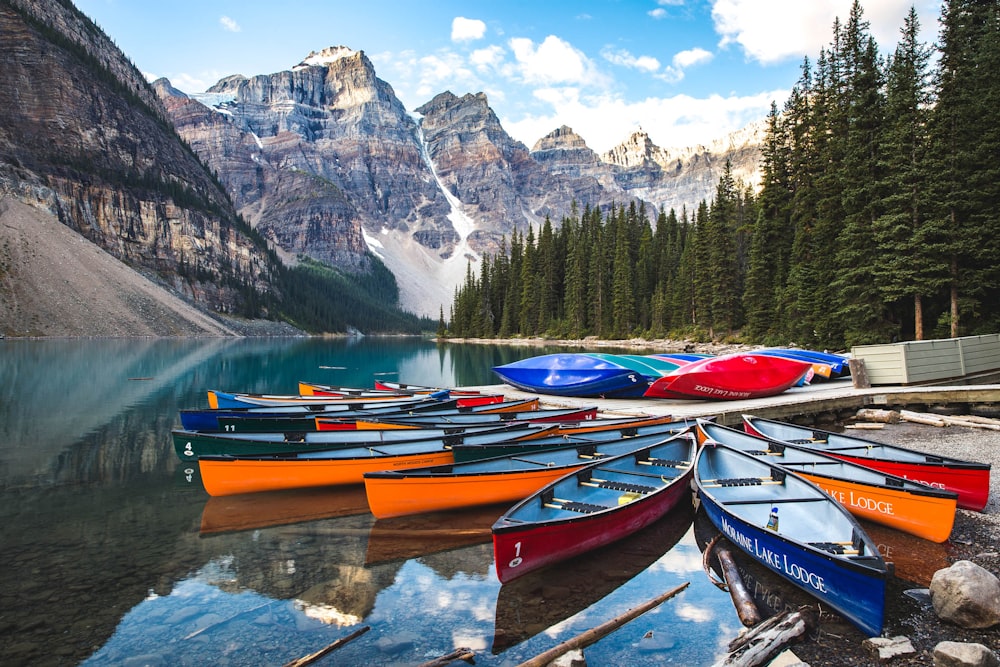 jon boats on body of water