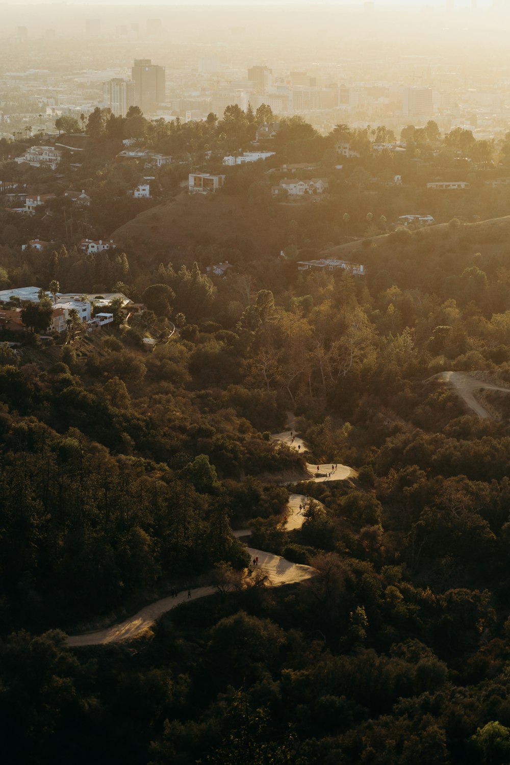 aerial photo of green trees surrounding curved road at daytime