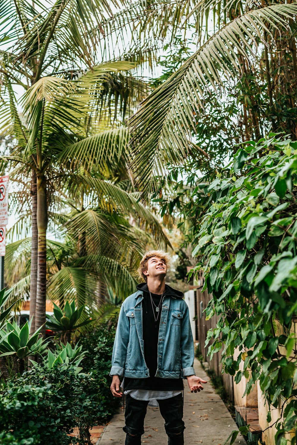 man standing between green leafed plant