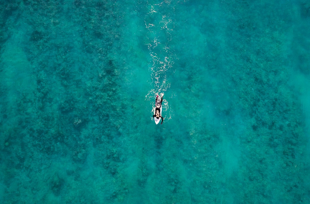 aerial photography of person bodyboarding on green body of water at daytime