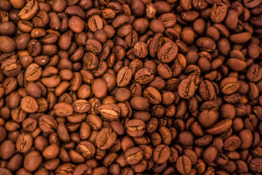 茶色のコーヒー豆ロット