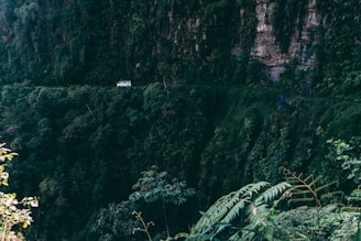 landscape photo of white vehicle near cliff and plants