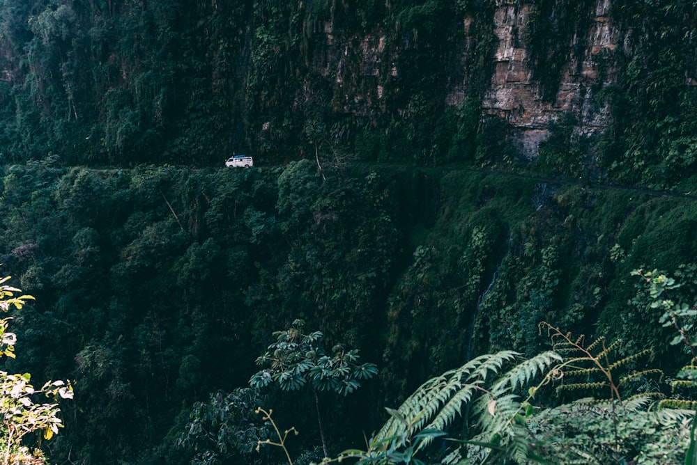 landscape photo of white vehicle near cliff and plants