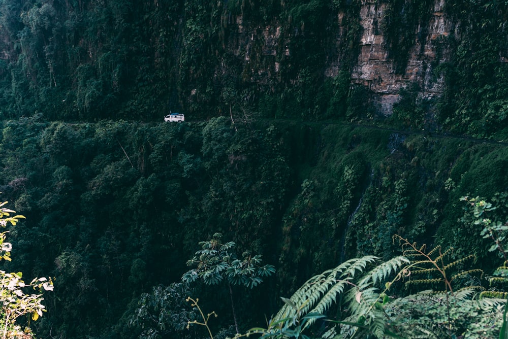 Foto de paisaje de vehículo blanco cerca de acantilado y plantas