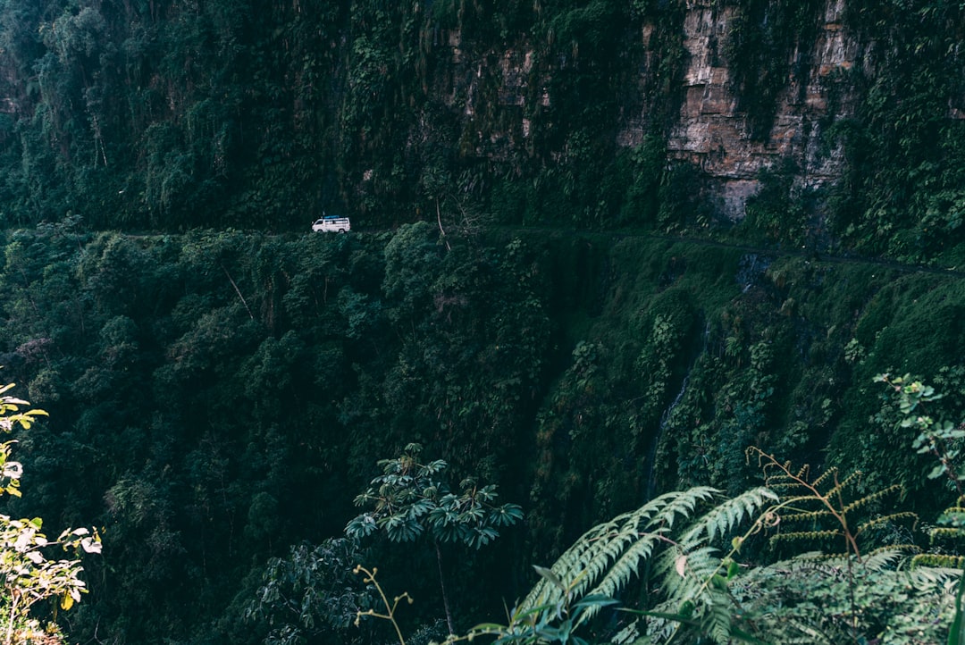 landscape photo of white vehicle near cliff and plants, That Van Life