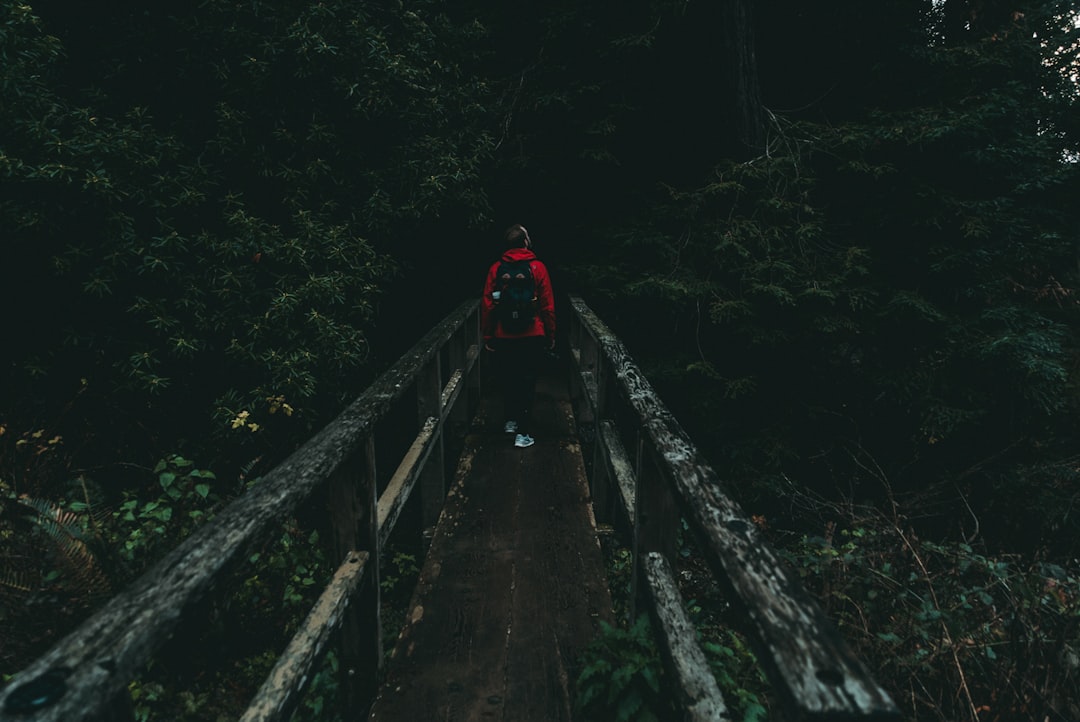 person walking on bridge between trees