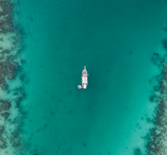 aerial view of boat on body of water at daytime