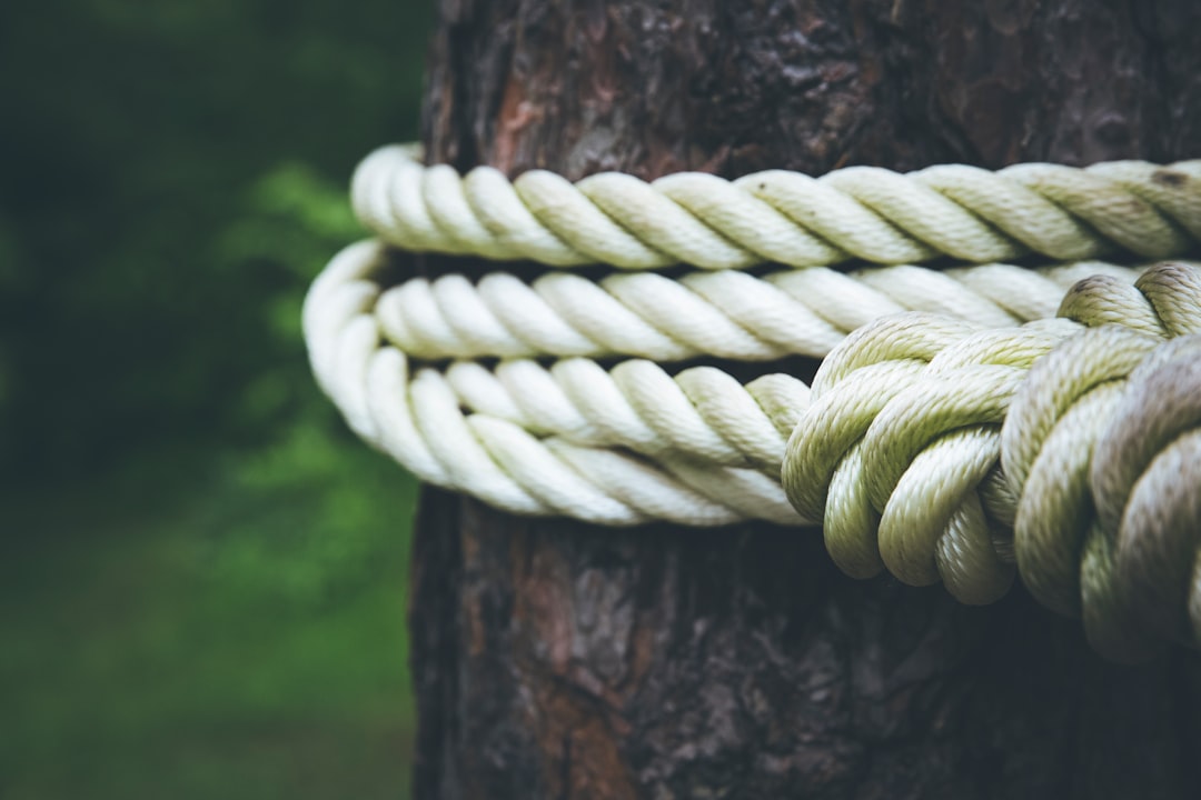 white rope on brown tree closeup photography