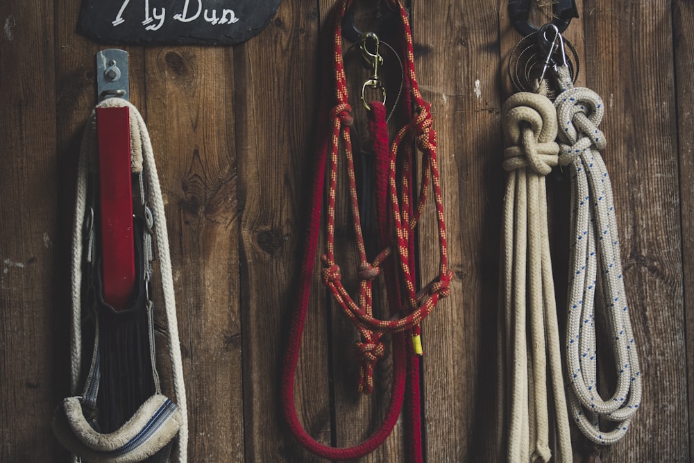 assorted ropes on hook