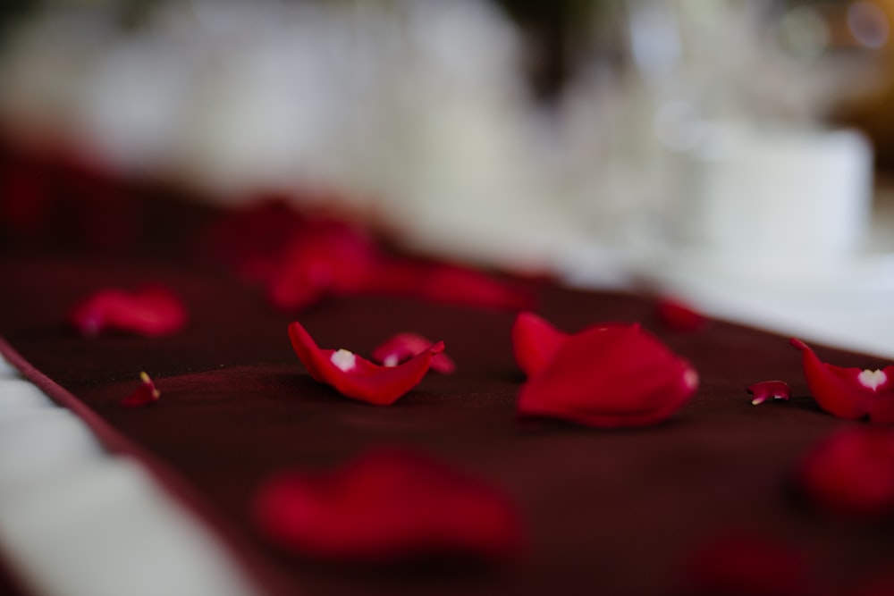 flor de pétalos rojos en la fotografía de primer plano de la alfombra roja