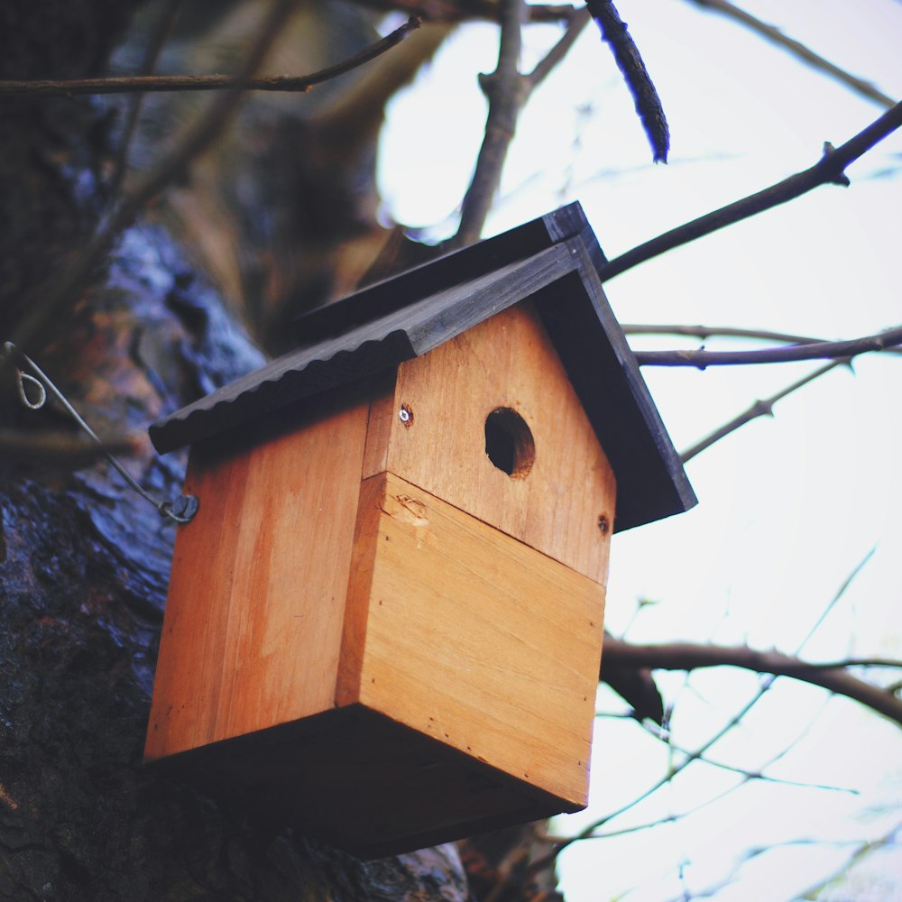 low-angle photography of brown wooden birdhouse