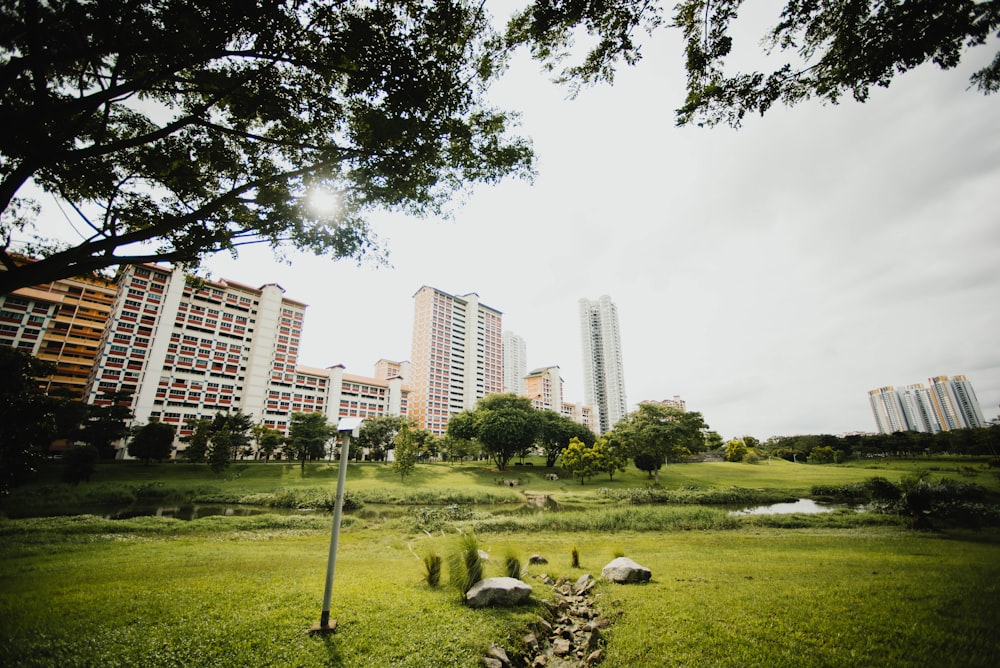landscape photography of park against high-rise buildings