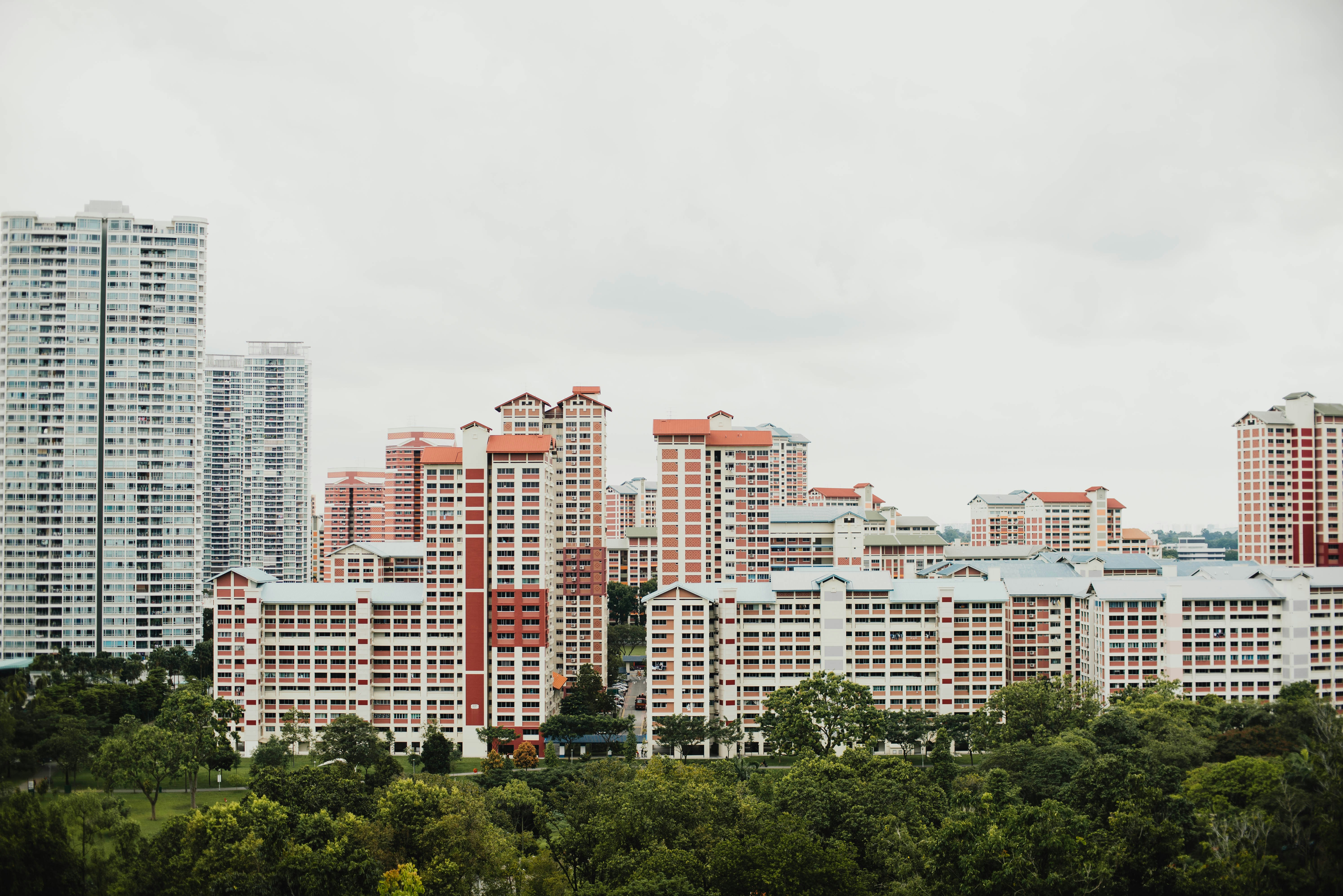 Photo by chuttersnap