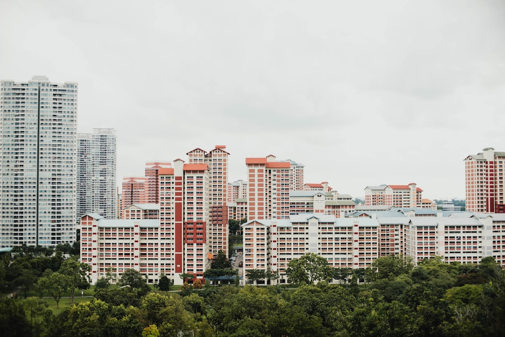 landscape photography of white high rise building beside tree