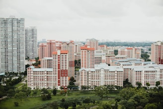 aerial photography of buildings