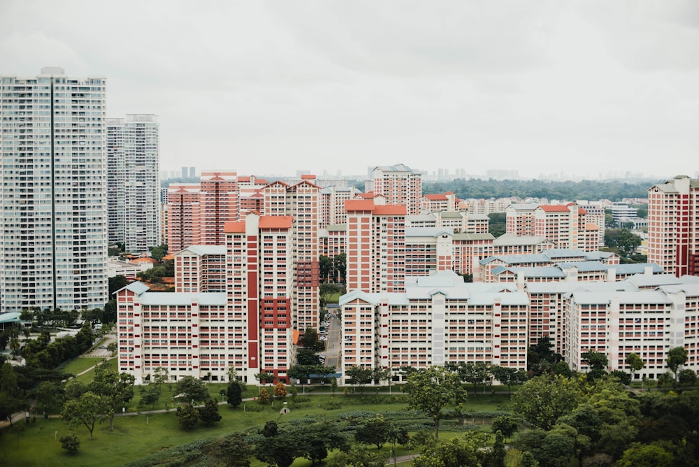 aerial photography of buildings