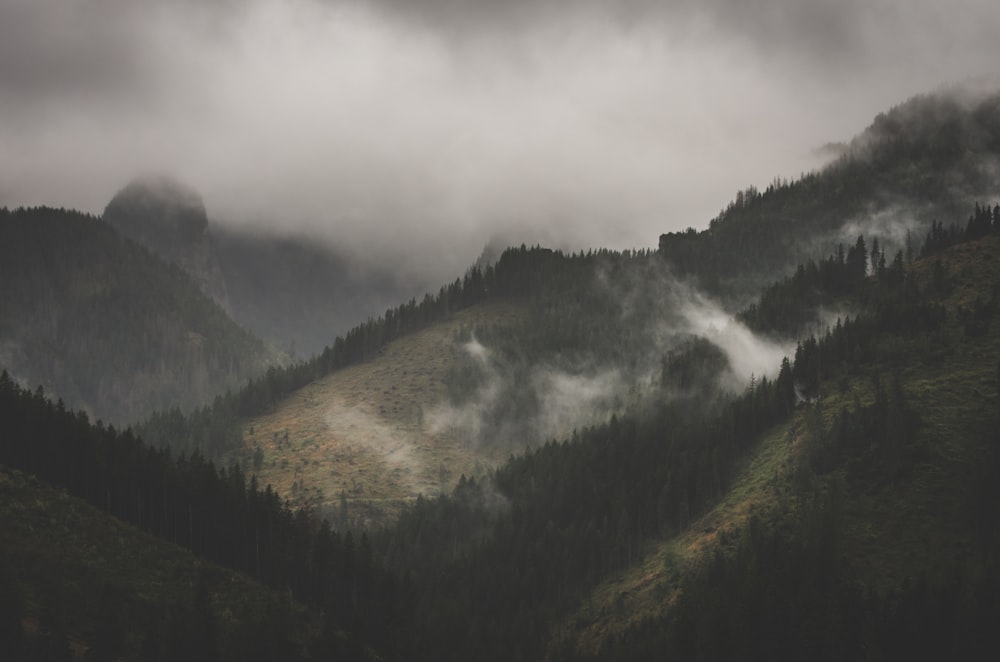 mountain covered on fog