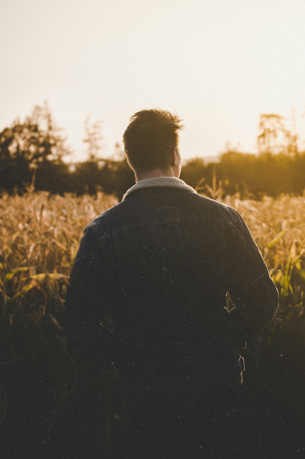 man standing near grasses