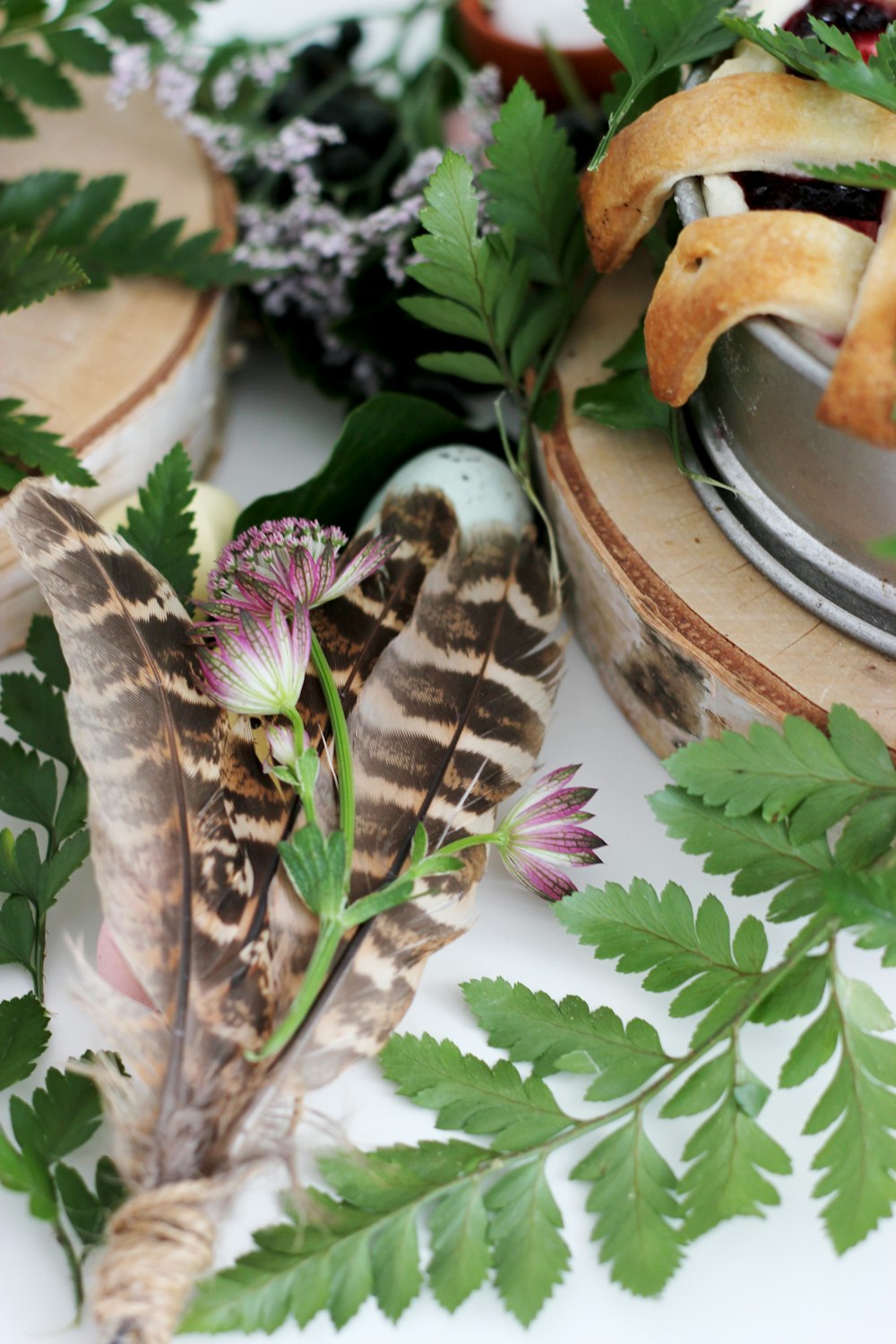 close up photo of pink flower and brown feather decor