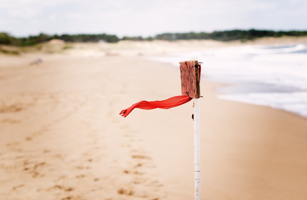 Drapeau rouge sur le bord de la mer pendant la journée