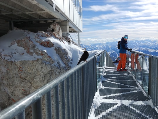man standing on mesh bridge near mountain range in Dachstein Mountains Austria