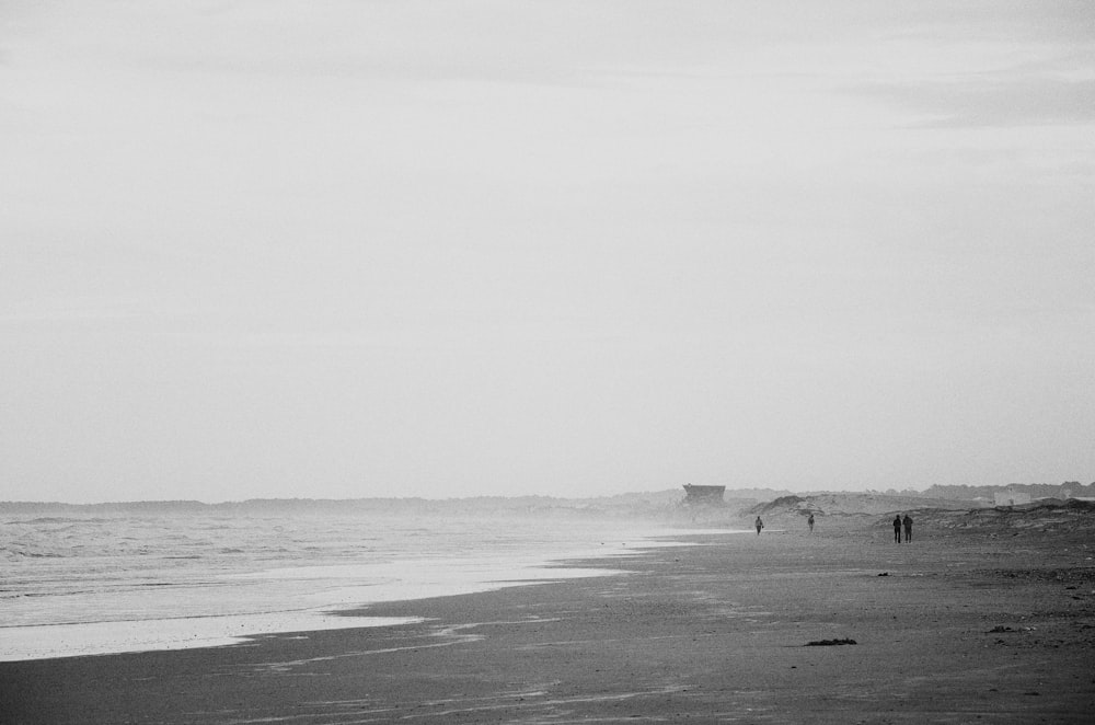 greyscale photography of beach