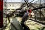 A young baseball player practicing batting stance inside a bright, modern studio.