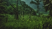 A serene landscape with a hill and fireflies glowing at dusk, symbolizing inspiration and growth.