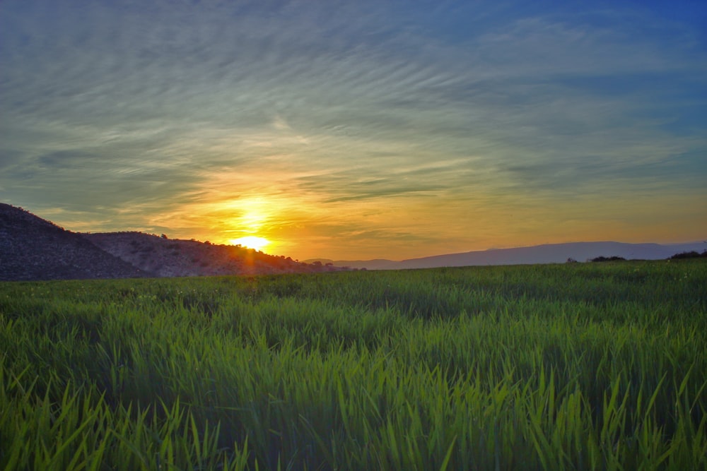 green grass field near mountain at golden hour