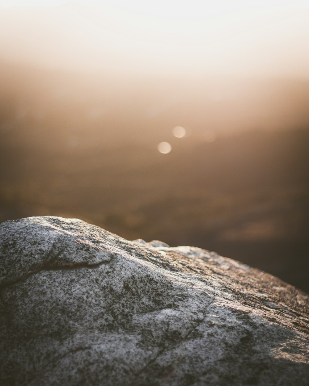 Fotografía de enfoque selectivo de piedra gris