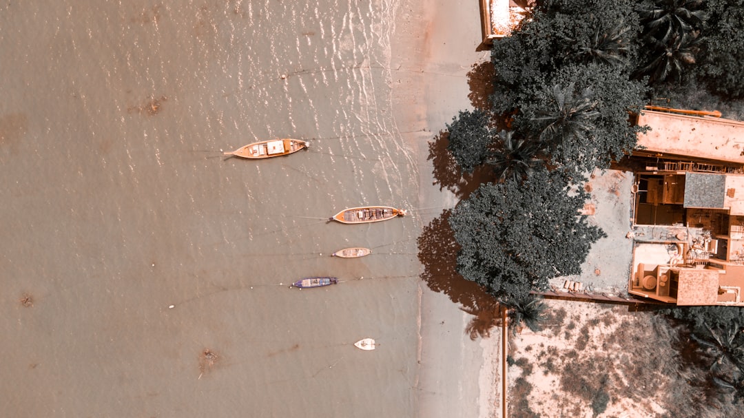 aerial photography of canoe on body of water beside trees and houses during daytime