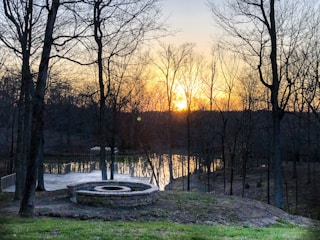 Sunset over a wooded area marked for development.