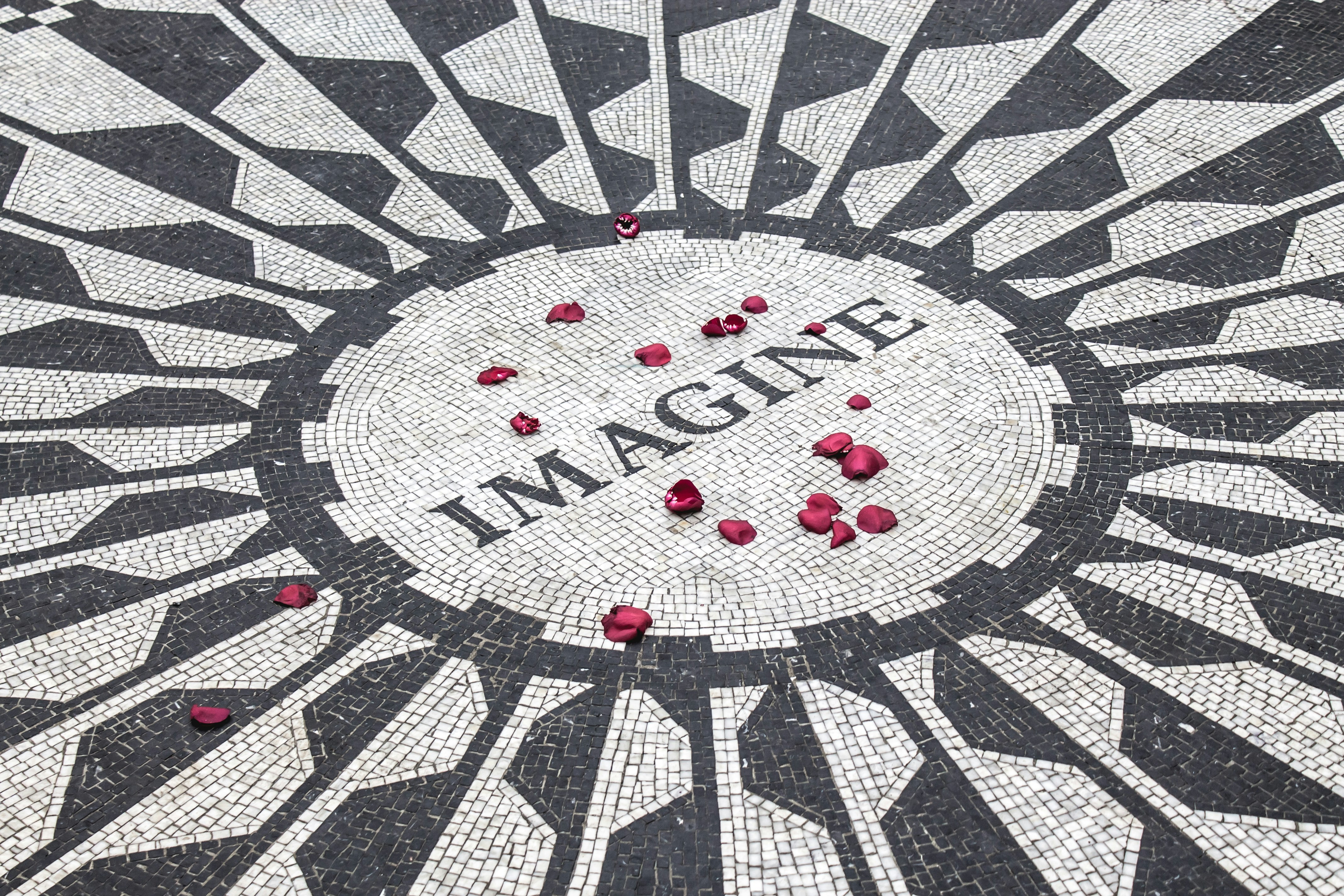 This is the John Lennon memorial in Strawberry Fields, New York. Someone left rose petals before we arrived.