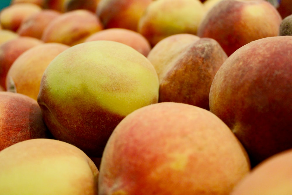 closeup photo of red apple fruit