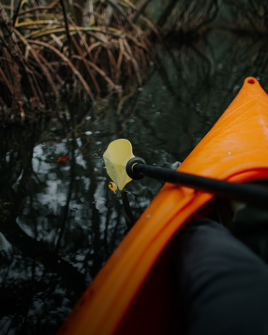 Weedon Island Preserve things to do in Safety Harbor