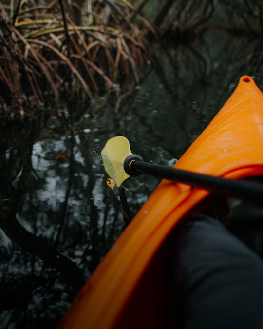person riding orange kayak in Weedon Island Preserve United States