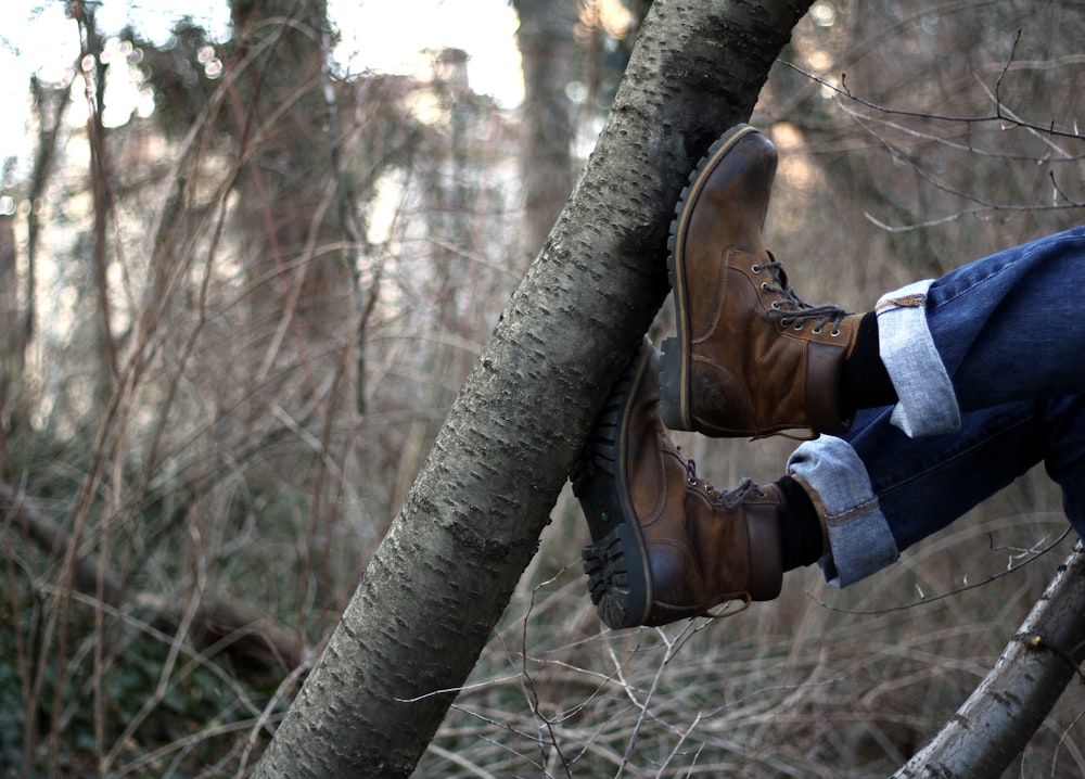 a person is sitting on a branch in the woods