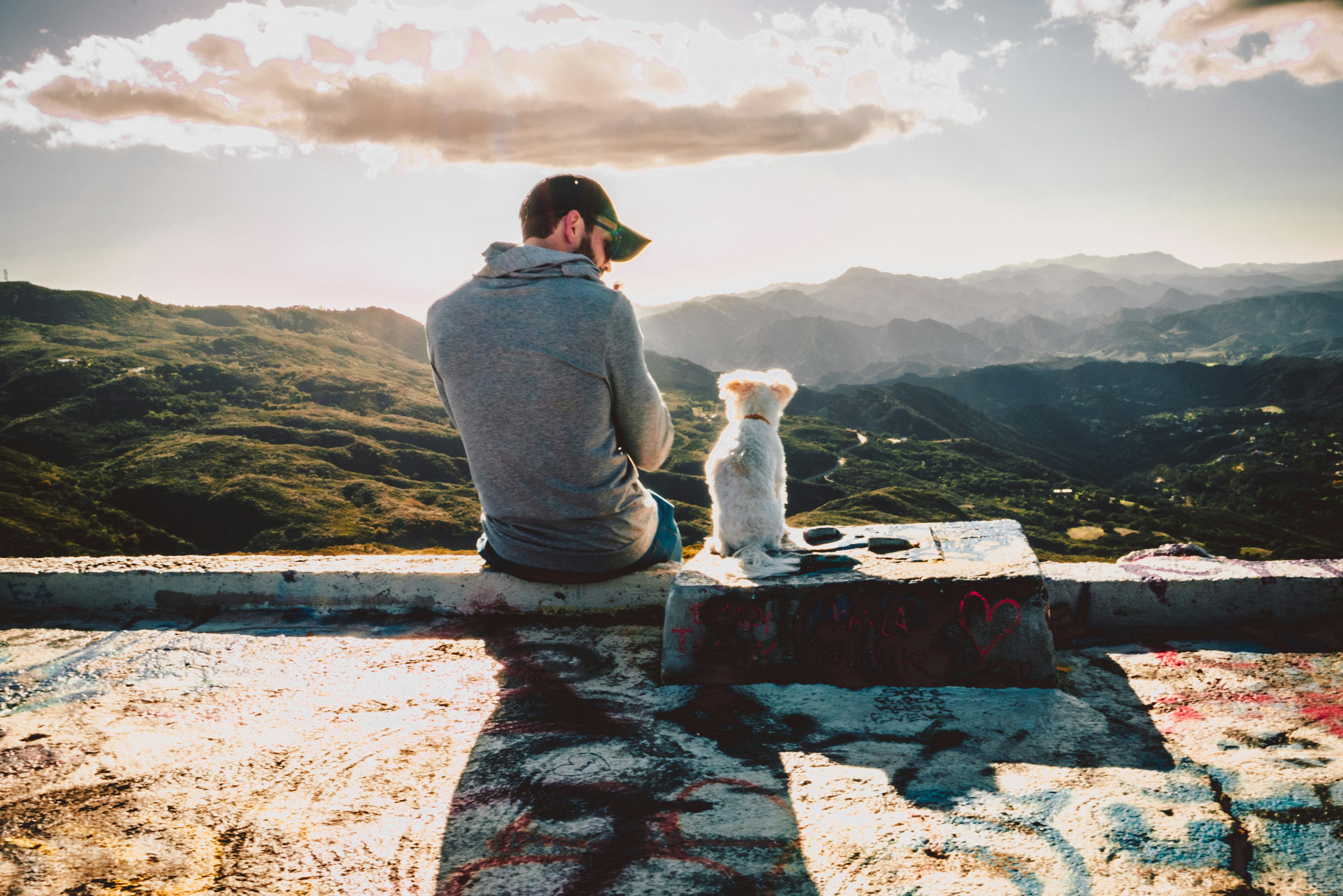 A man and dog sitting side by side on a wall overlooking mountain and clouds