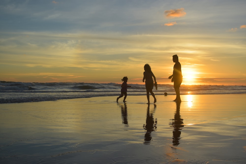 person and two toddler's playing at the seashore