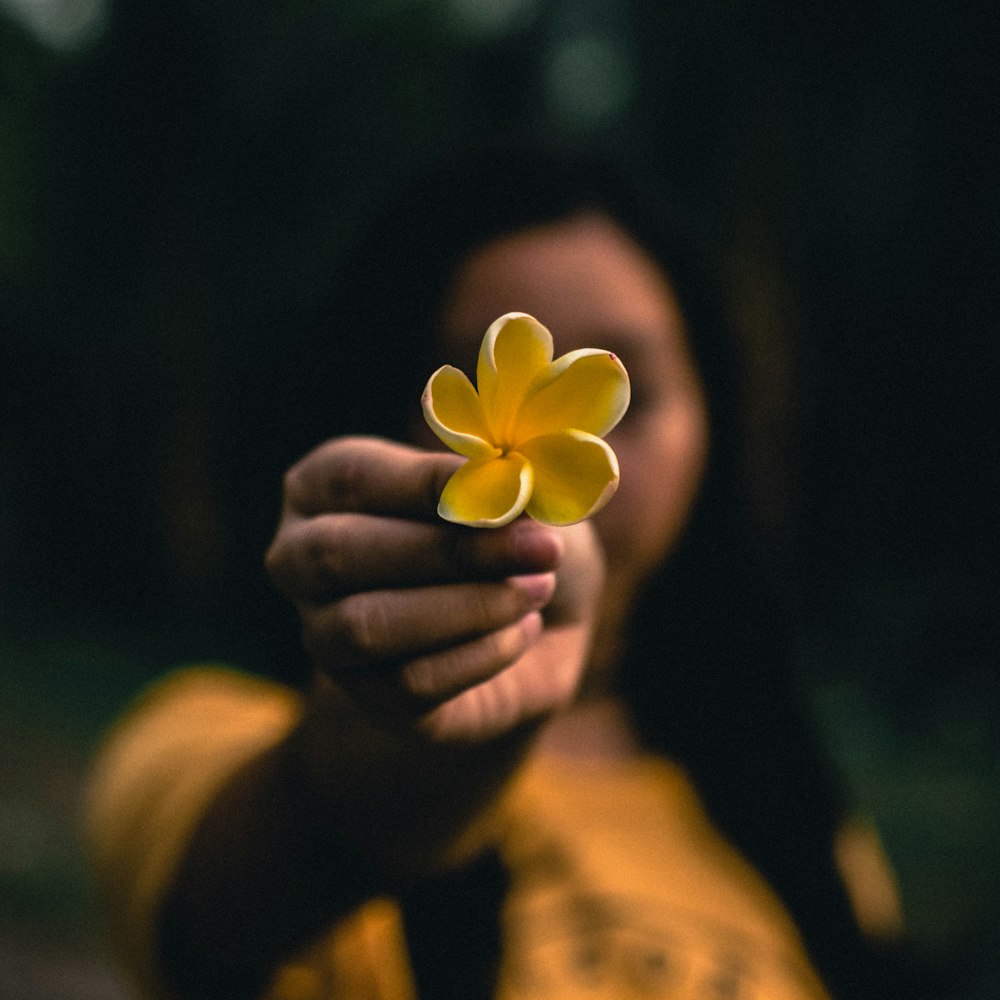 persona sosteniendo una flor de pétalos amarillos